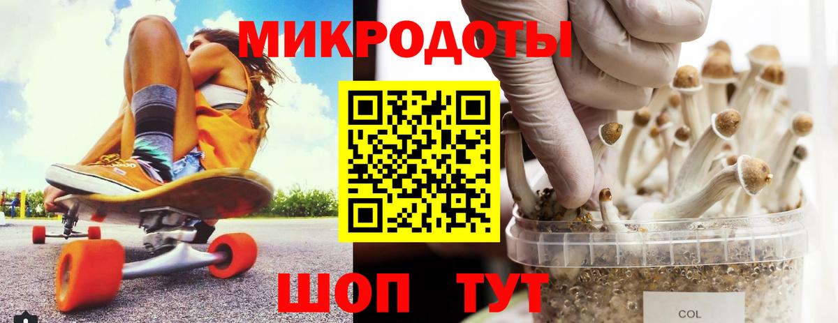 Псилоцибиновые грибы Cubensis Люберцы