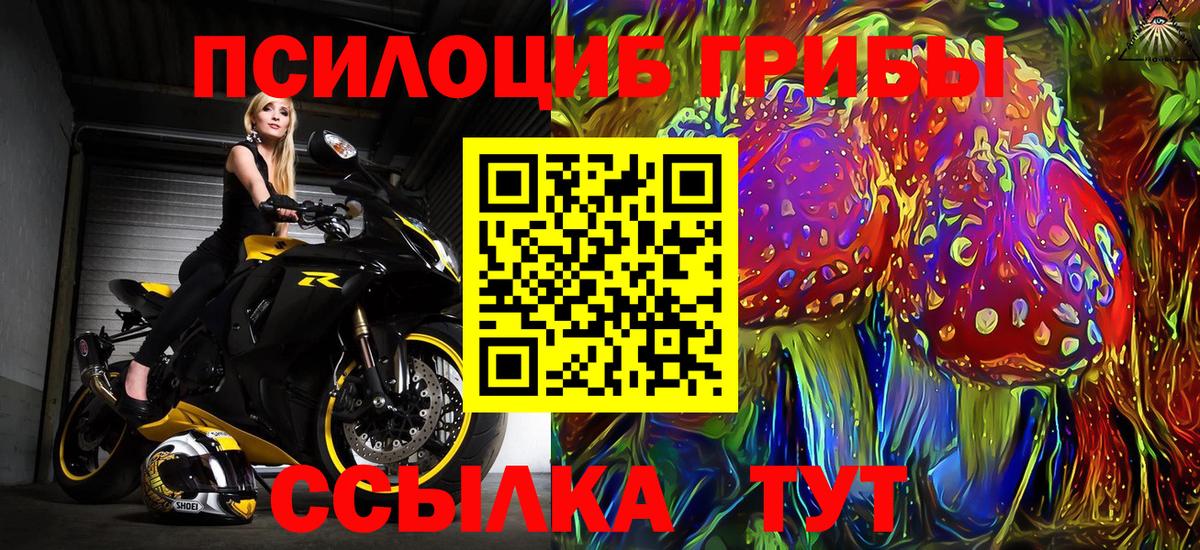 Псилоцибиновые грибы мицелий  Вход с VPN  Люберцы 